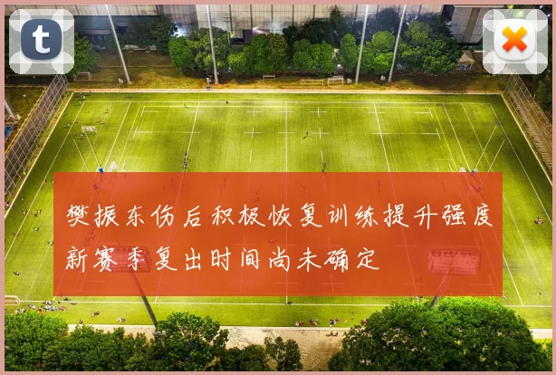 樊振东伤后积极恢复训练提升强度新赛季复出时间尚未确定